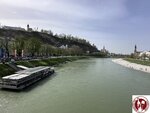 IMG_1877 (Copy)