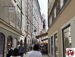 IMG_1883 (Copy)