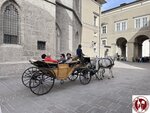 IMG_1947 (Copy)