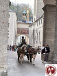 IMG_1952 (Copy)