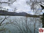 IMG_2289 (Copy)