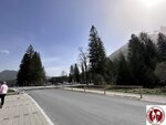 IMG_1766 (Copy)