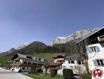 IMG_1765 (Copy)