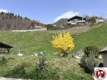 IMG_1769 (Copy)