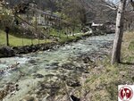 IMG_1773 (Copy)