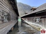 IMG_1832 (Copy)