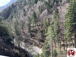 IMG_4075 (Copy)