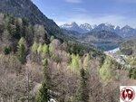IMG_4126 (Copy)