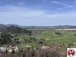 IMG_4133 (Copy)