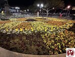 IMG_3188 (Copy)