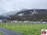 IMG_1185 (Copy)
