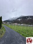 IMG_1188 (Copy)