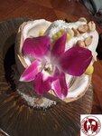IMG_6668 (Copy)