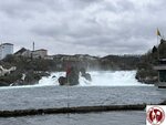 IMG_1174 (Copy)