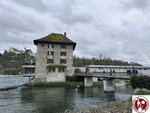 IMG_1177 (Copy)