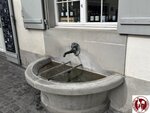 IMG_4238 (Copy)