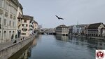 20240408_112958 (Copy)