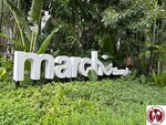 IMG_7430 (Copy)