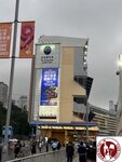 IMG_6230 (Copy)