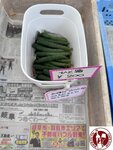 IMG_9845 (Copy)