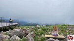 20240702_124741 (Copy)
