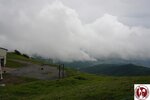 DSC08618 (Copy)