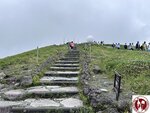 IMG_8873 (Copy)