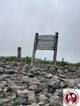 IMG_8901 (Copy)
