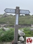 IMG_8914 (Copy)