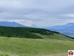 IMG_9021 (複製)