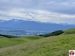 IMG_9022 (複製)