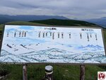 IMG_9024 (複製)