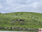 IMG_9030 (複製)