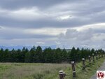 IMG_9033 (複製)