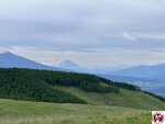 IMG_9034 (複製)