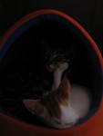 IMG_4859