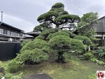 IMG_8608 (複製)