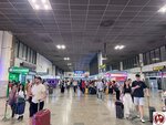 IMG_3677 (複製)