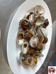 IMG_3823 (複製)