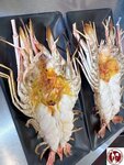 IMG_3825 (複製)