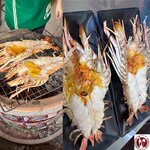 PVPT9351 (複製)
