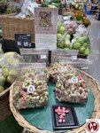 IMG_3700 (複製)