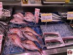 IMG_9048 (複製)