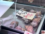 IMG_8569 (複製)