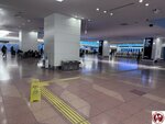 IMG_7968 (複製)
