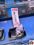IMG_8347 (複製)