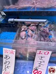 IMG_8348 (複製)