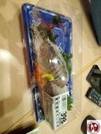 20250130_195646 (複製)