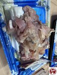 IMG_9060 (複製)