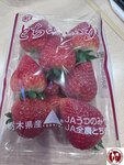 IMG_9090 (複製)